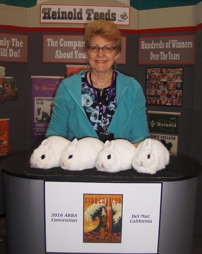 dwarf hotot breeders